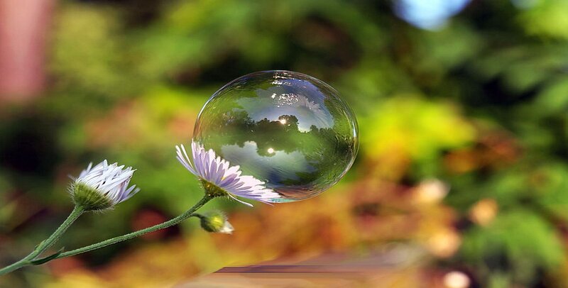 Bubble on Flower Stem — Green, Serene