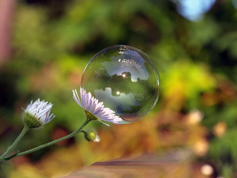 Bubble on Flower Stem — Green