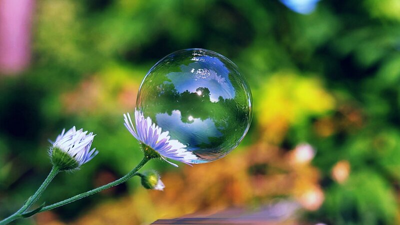 Bubble on Flower Stem