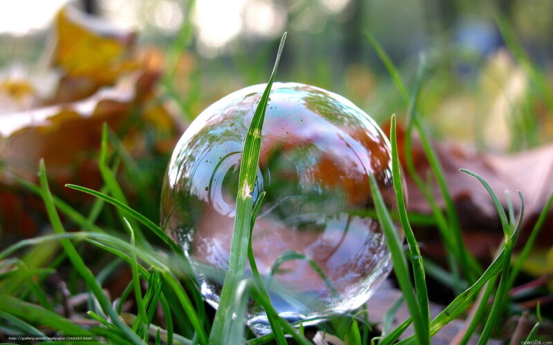 bubble on grass with leaf