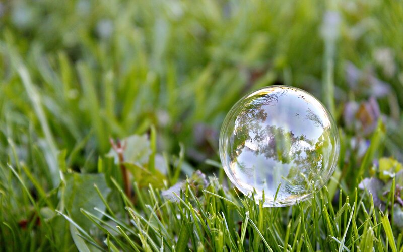Bubble on green grass