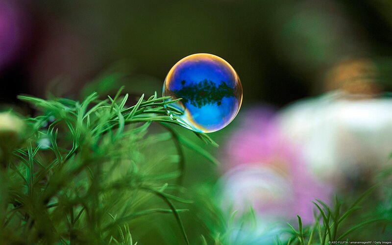 Bubble on green plant