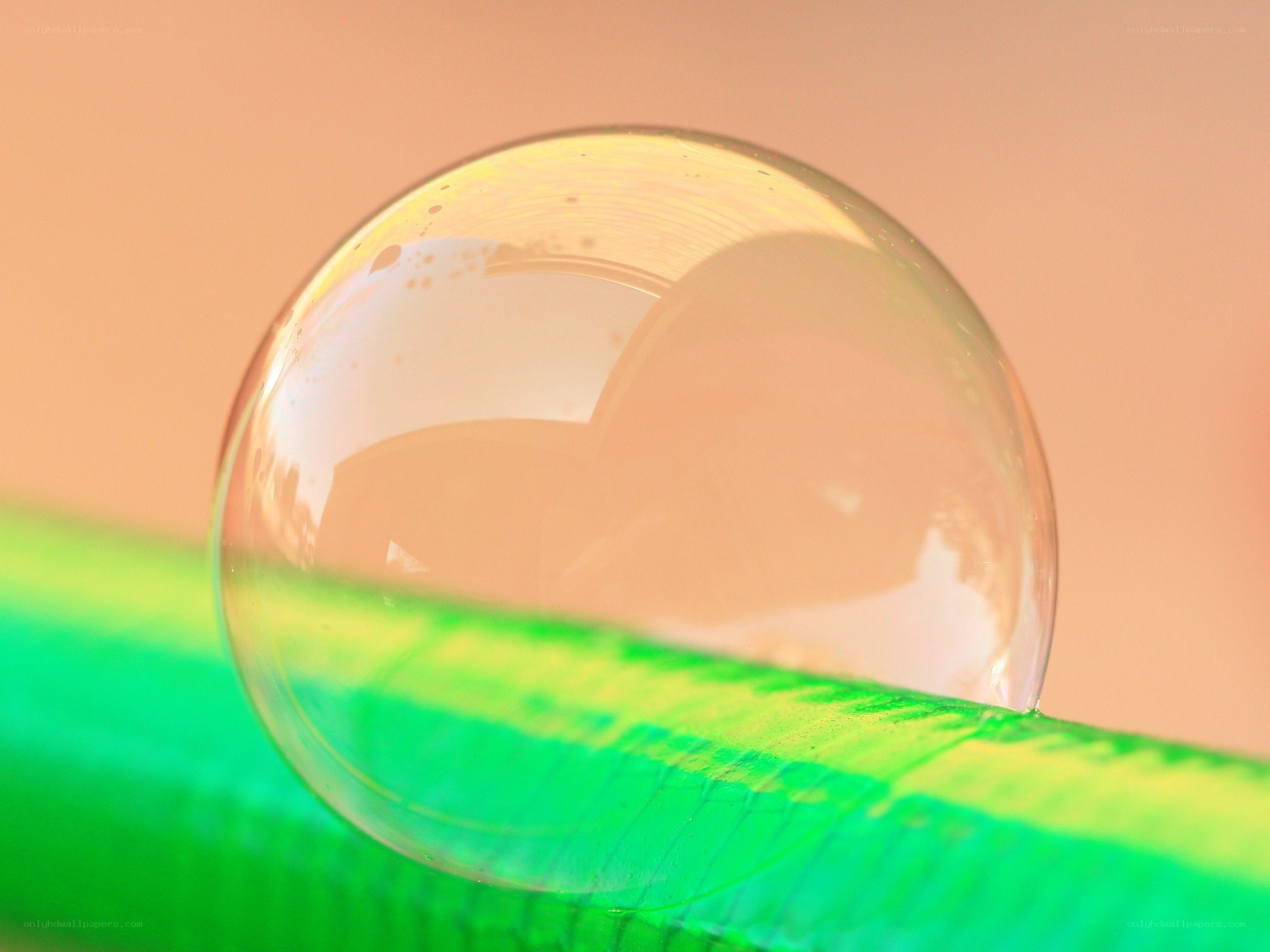bubble on green straw