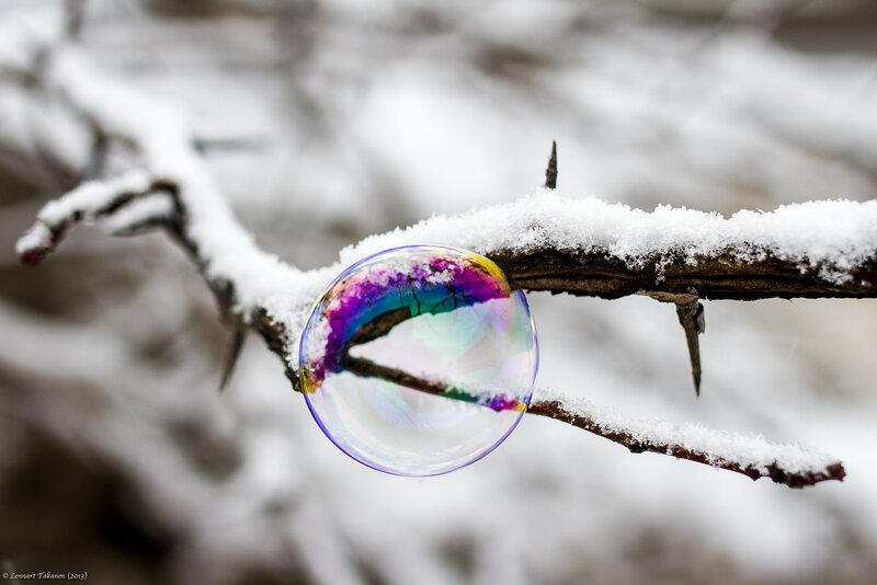 Bubble on Snow-covered Branch