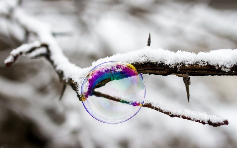 Bubble on Snowy Branch