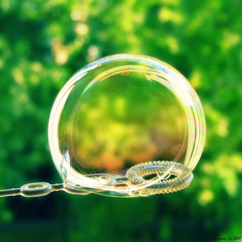 Bubble on Wand
