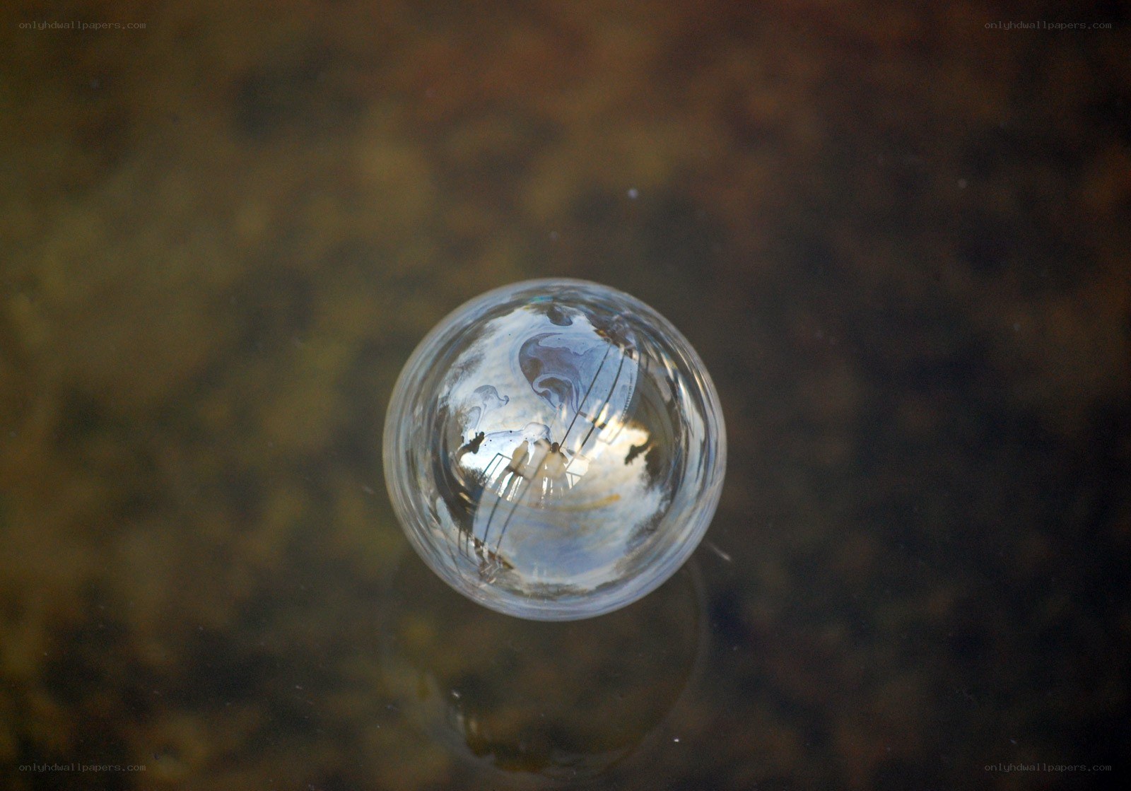 bubble on water surface