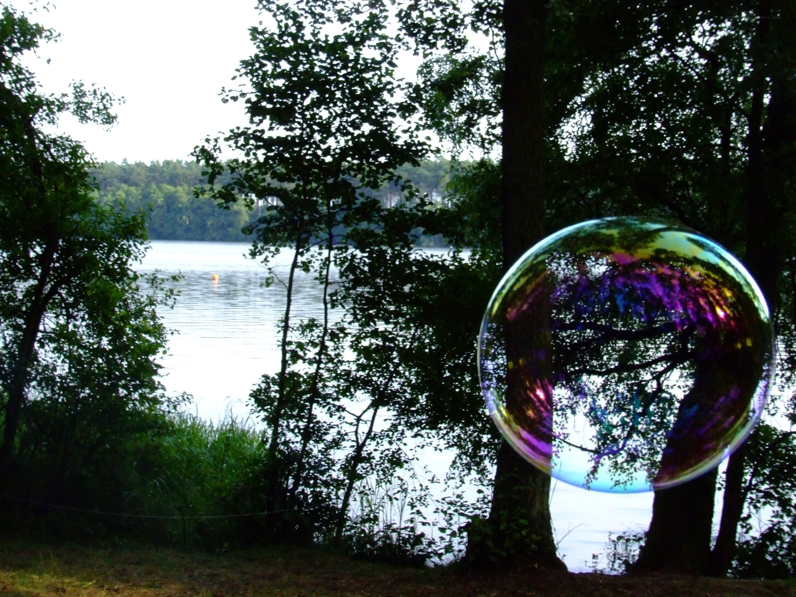 Bubble over a lake