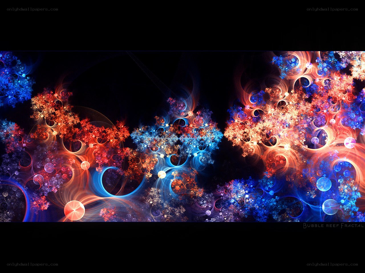 Bubble Reef Fractal Art