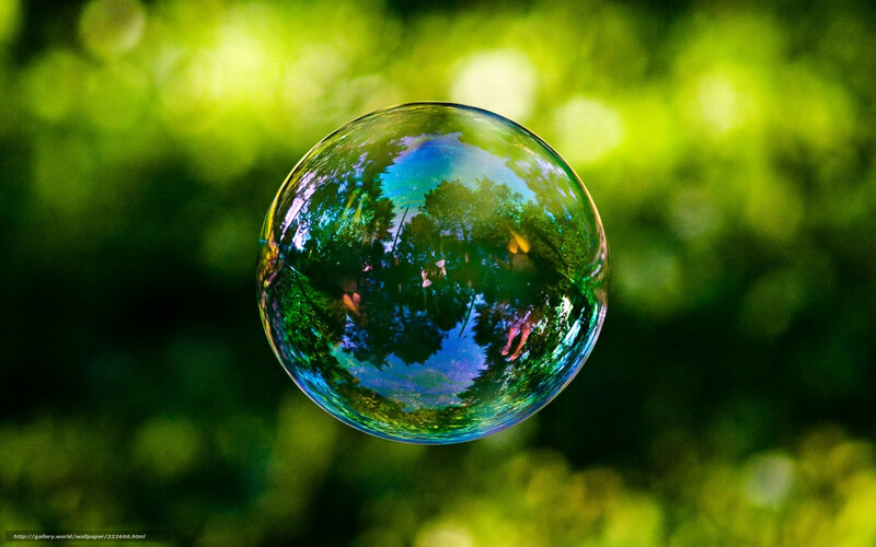 Bubble reflecting forest