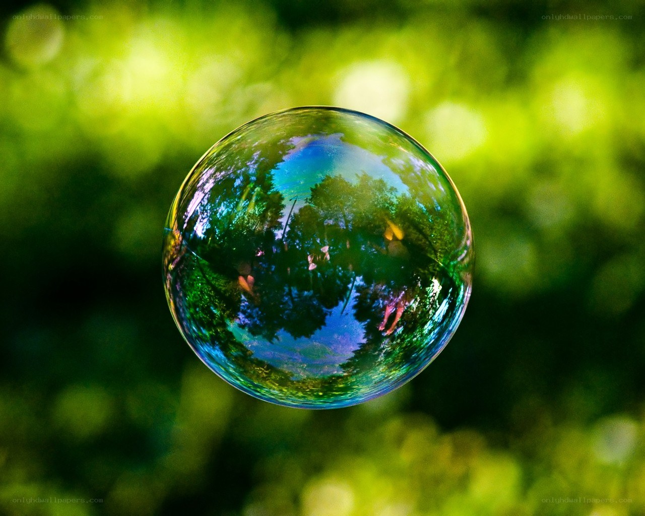 Bubble reflecting green trees