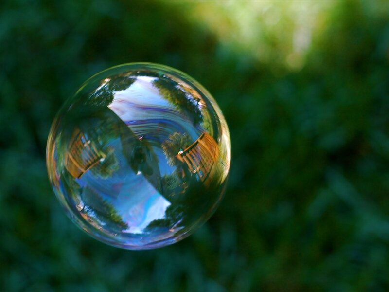bubble reflecting trees