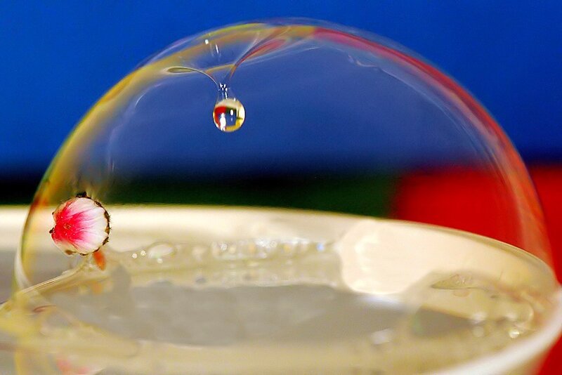 Bubble with flower and droplet