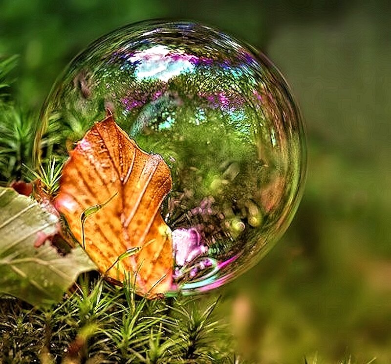 Bubble with Leaf