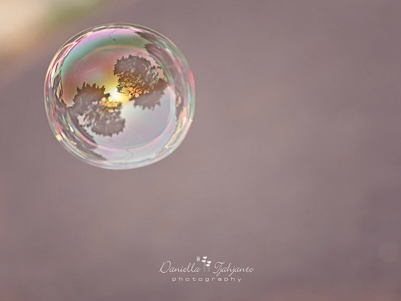 Bubble with Tree Reflection