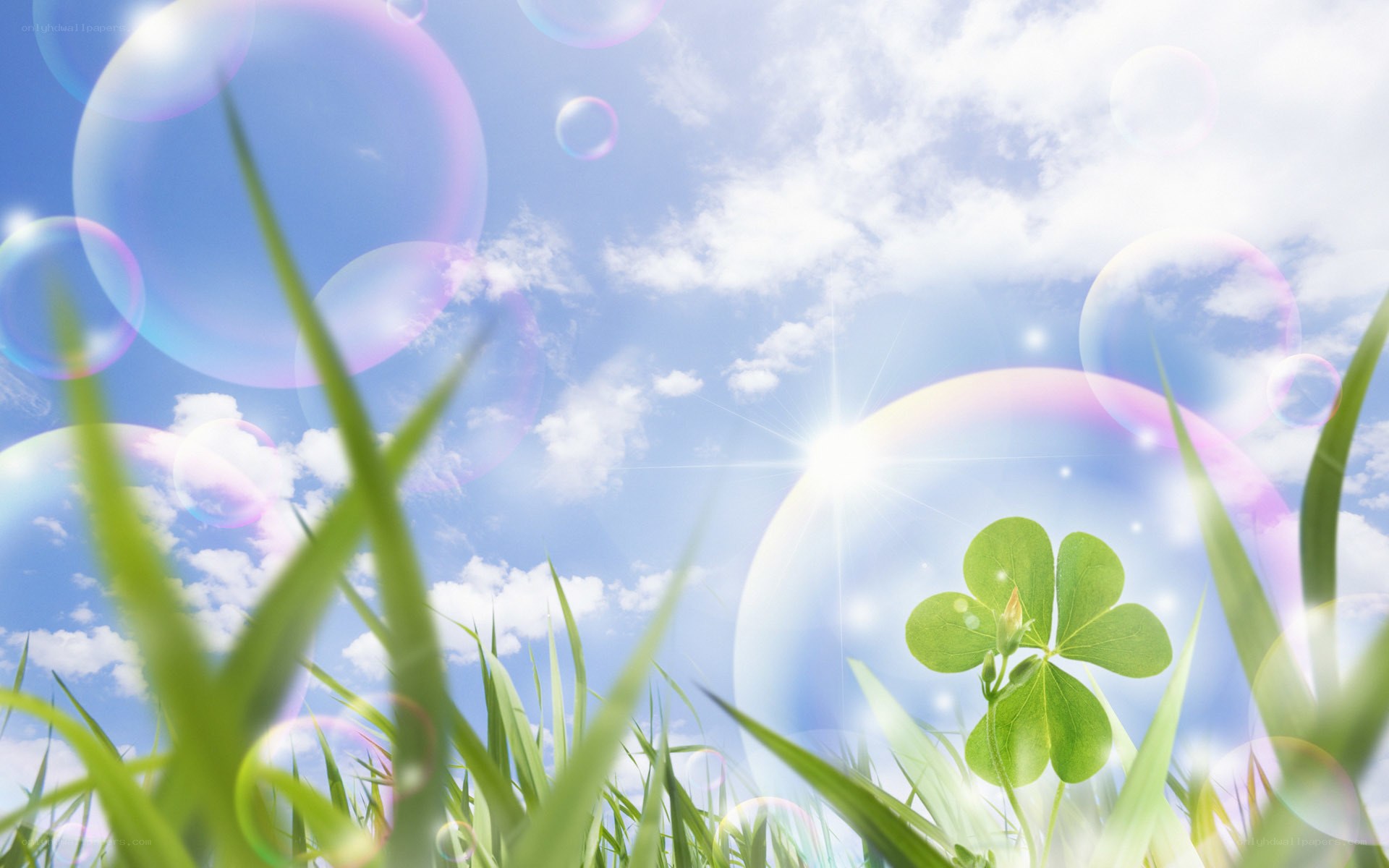 Bubbles and clover in the grass
