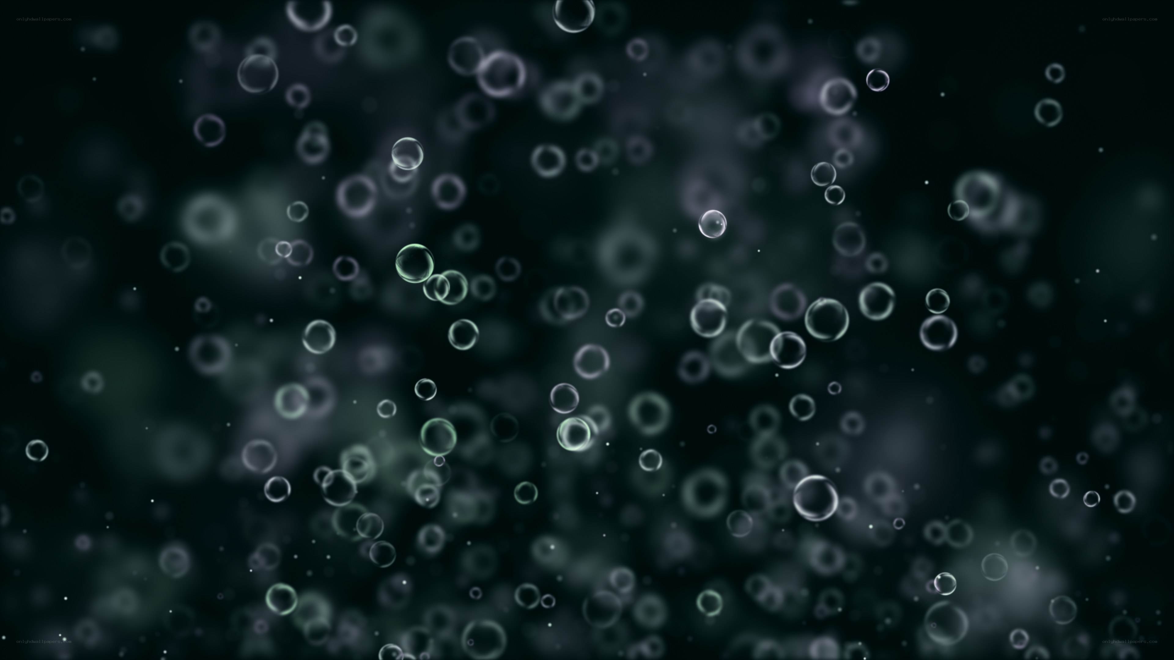 bubbles floating in dark water