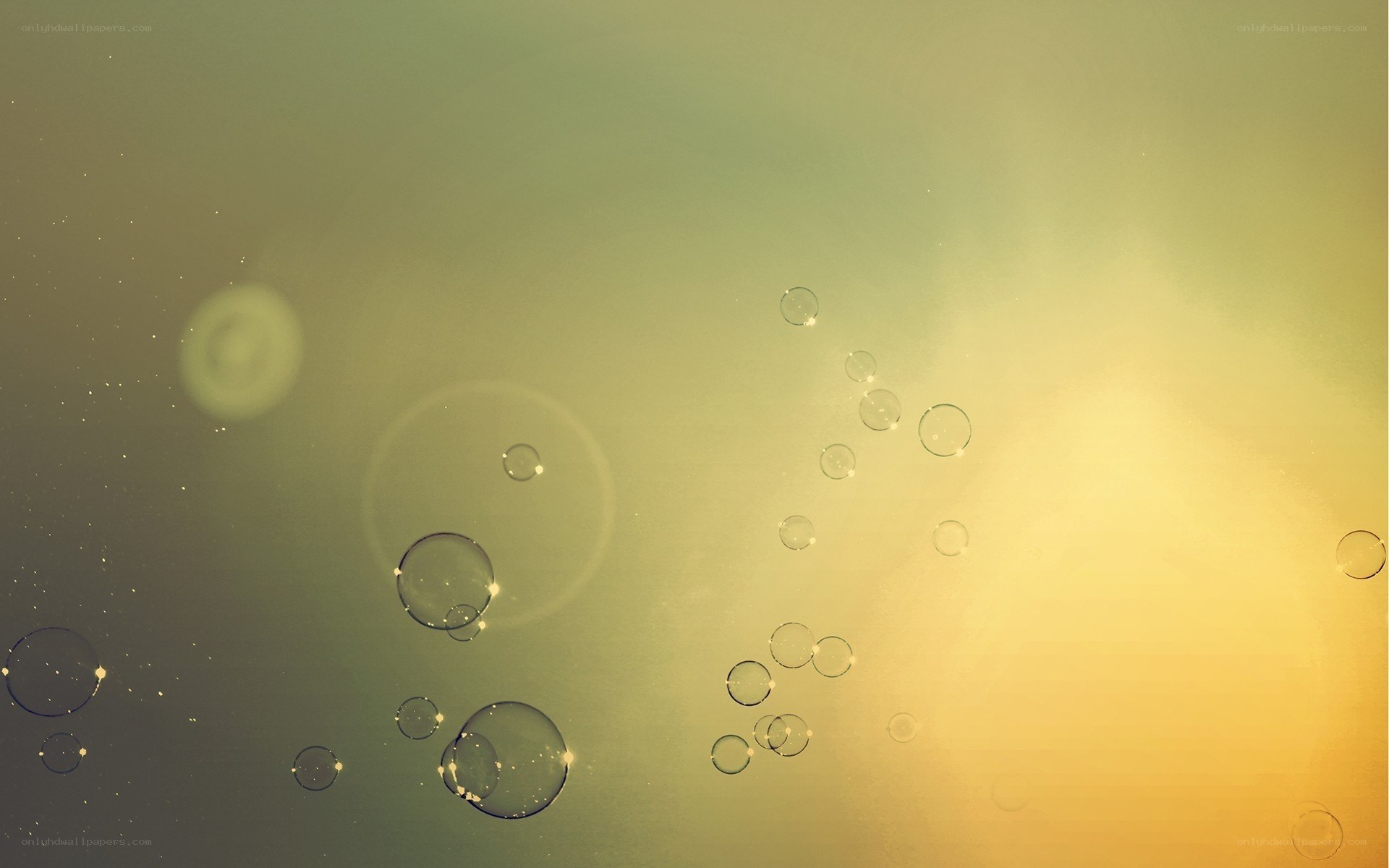 bubbles floating in golden light