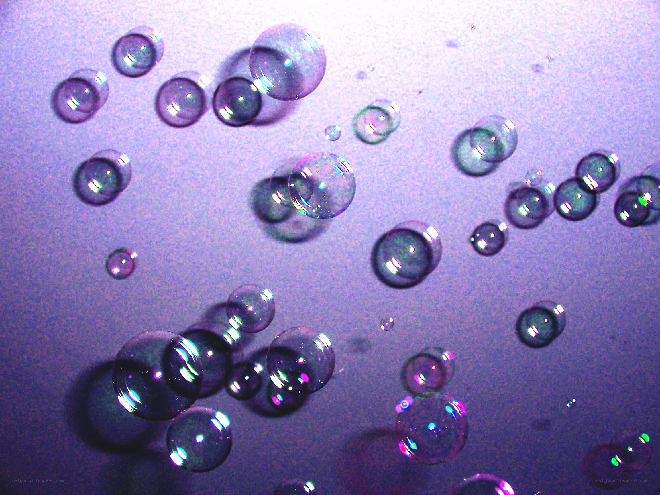 Bubbles floating in purple light