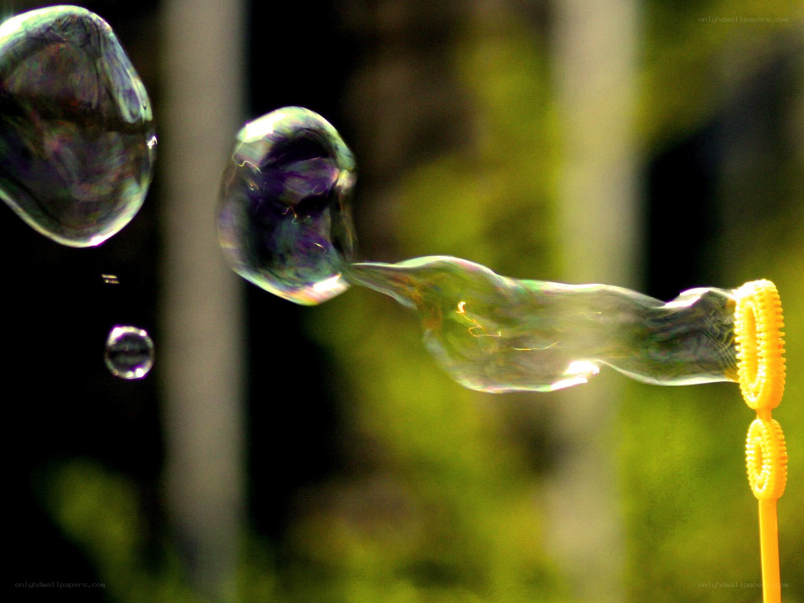 Bubbles forming on a wand