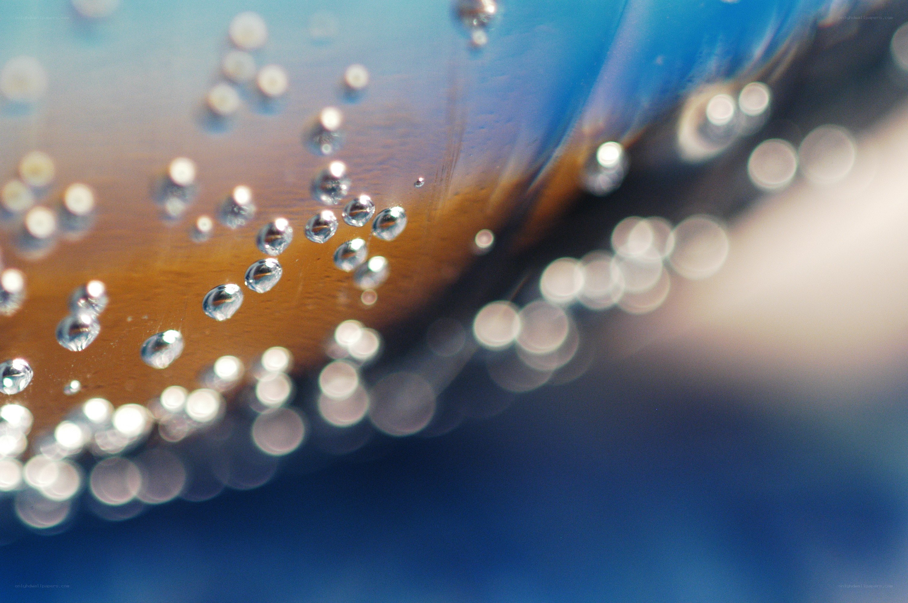 Bubbles in a blue liquid