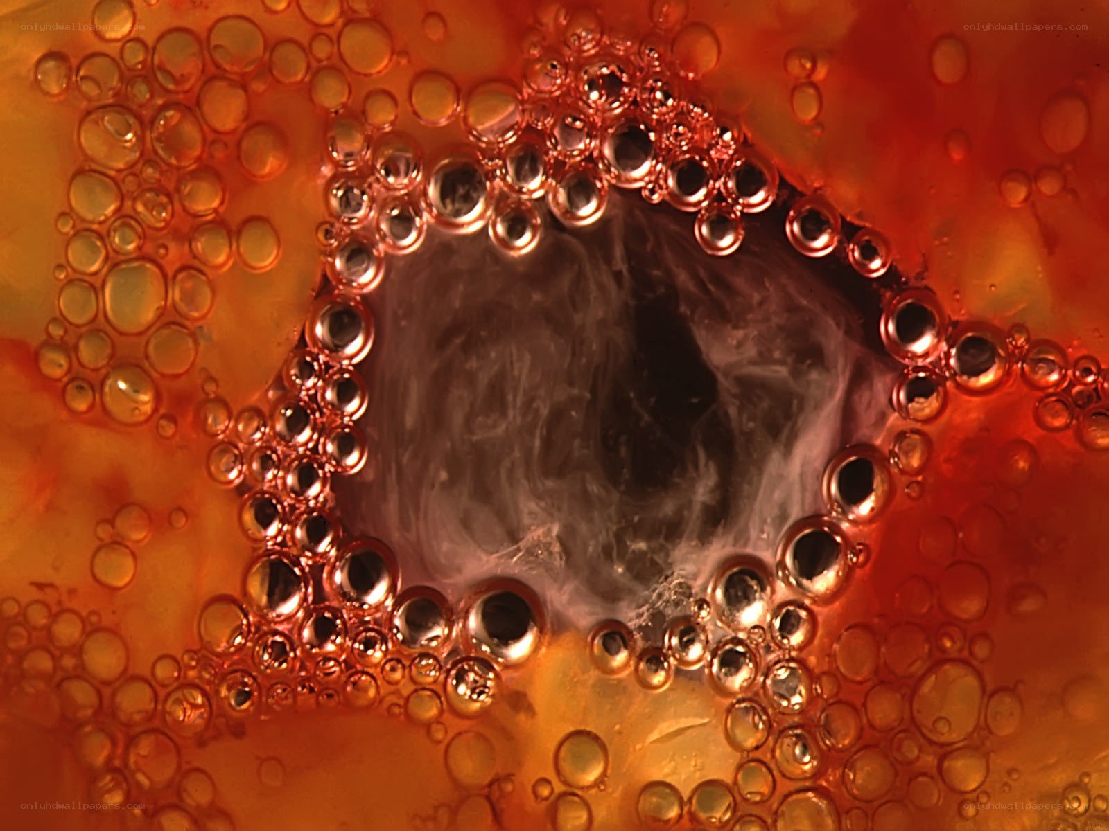 Bubbles in a swirling liquid