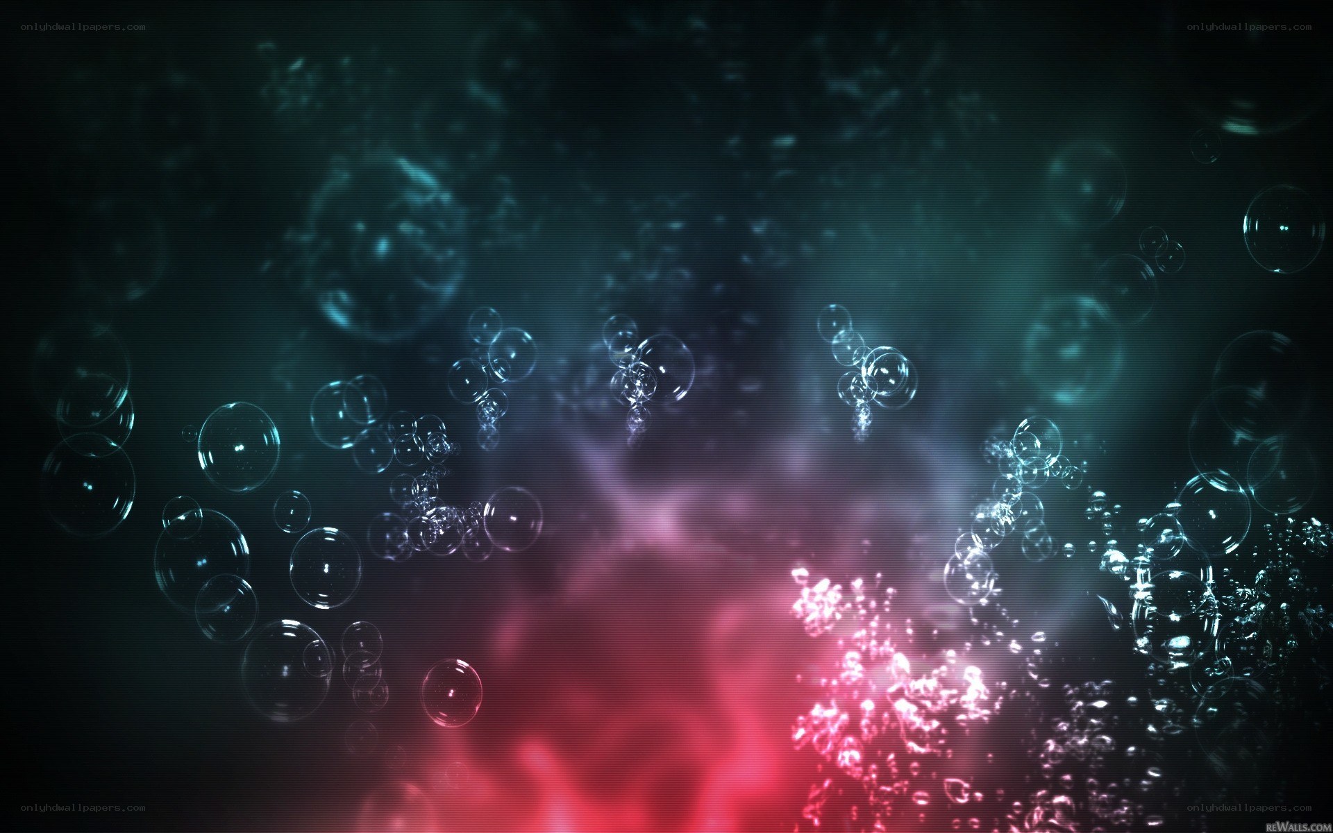 bubbles in colorful light