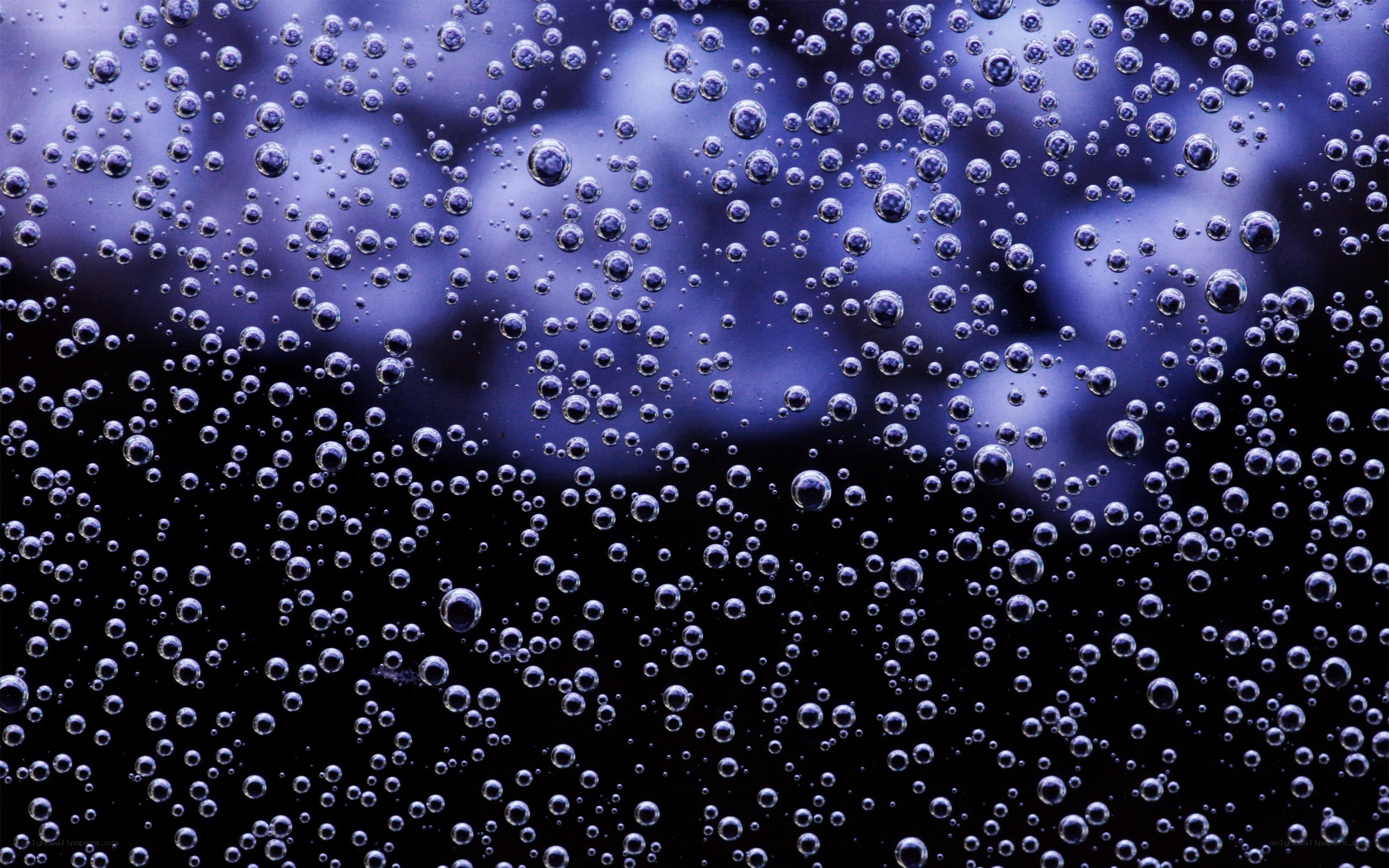 bubbles in dark liquid