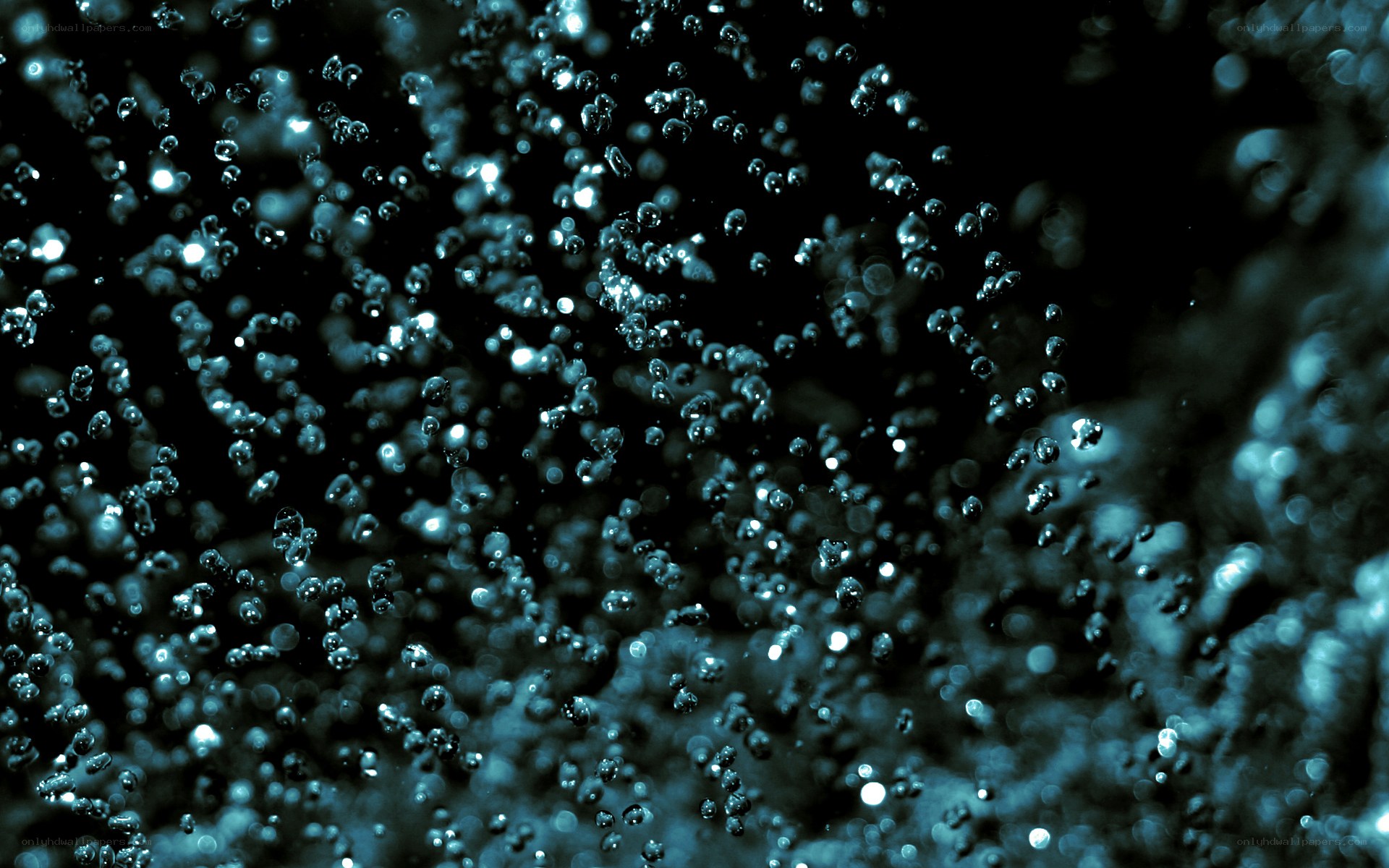 bubbles in dark water