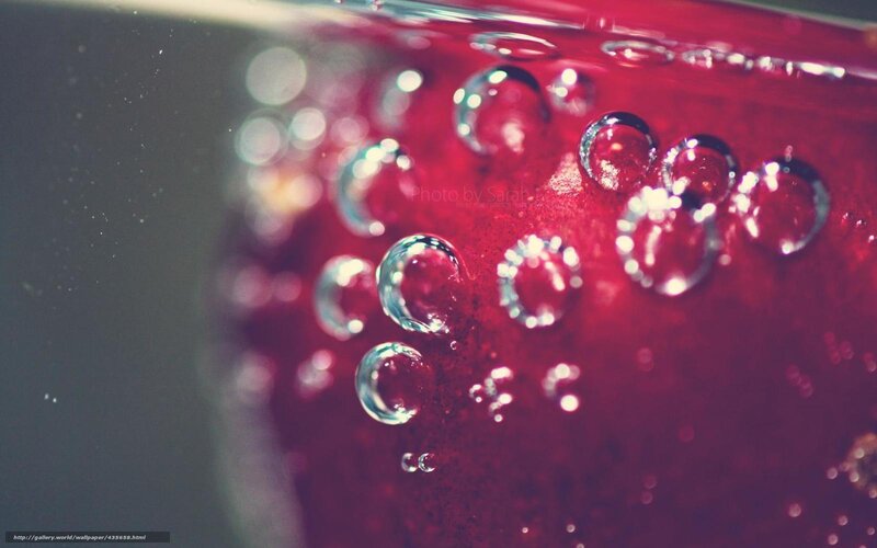 Bubbles in Red Liquid — Calm