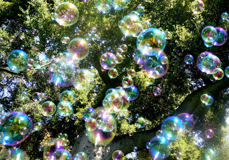 Bubbles in Tree Canopy