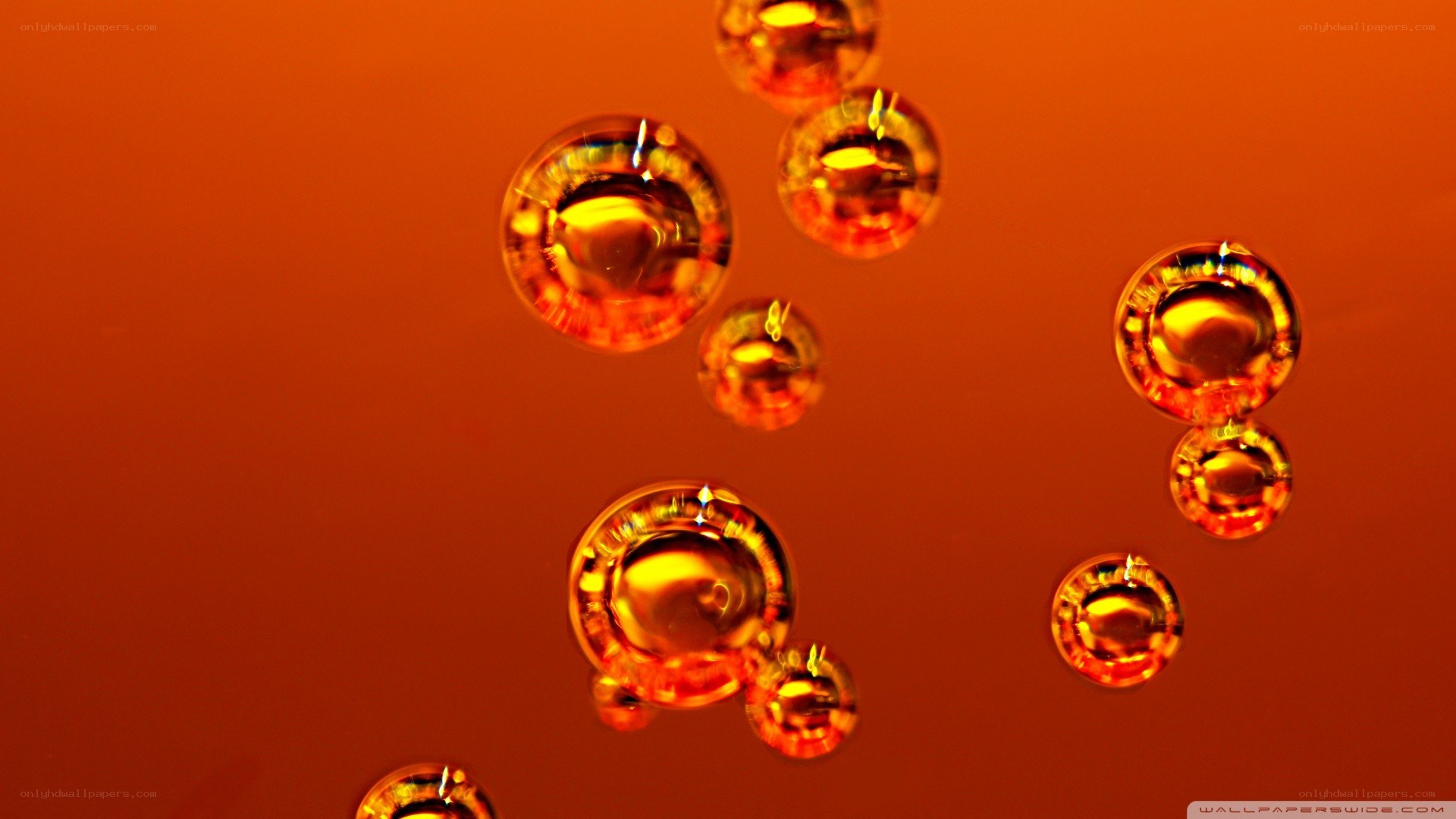 Bubbles in warm light