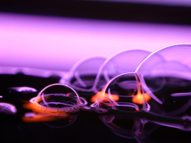 Bubbles on Dark Surface — Purple