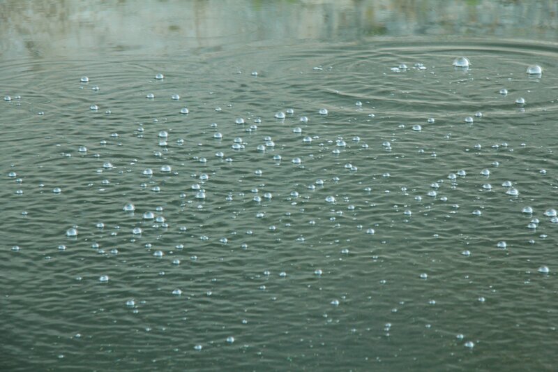 Bubbles on water surface