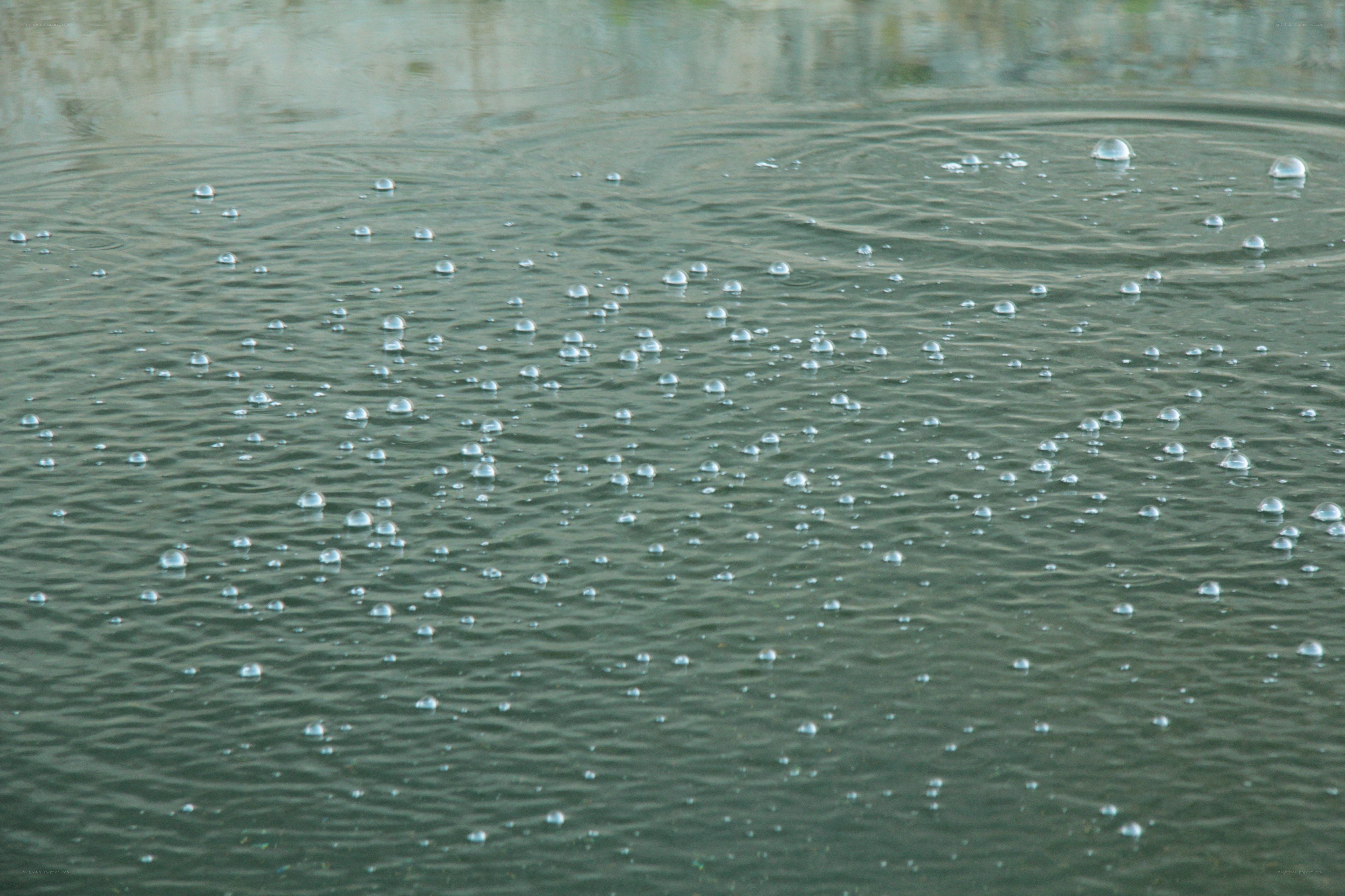 Bubbles on water surface