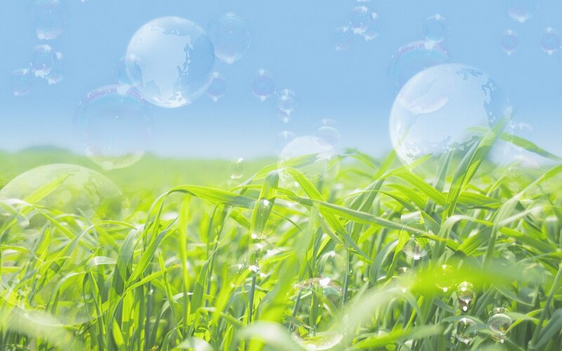 bubbles over green grass