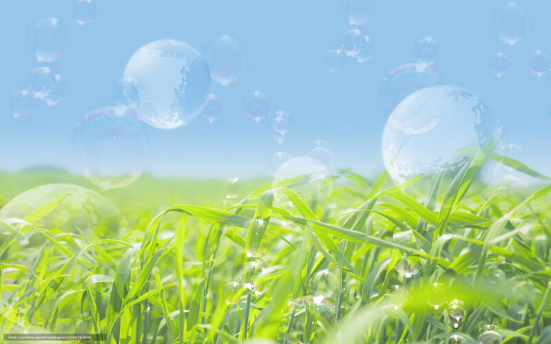 Bubbles over green grass