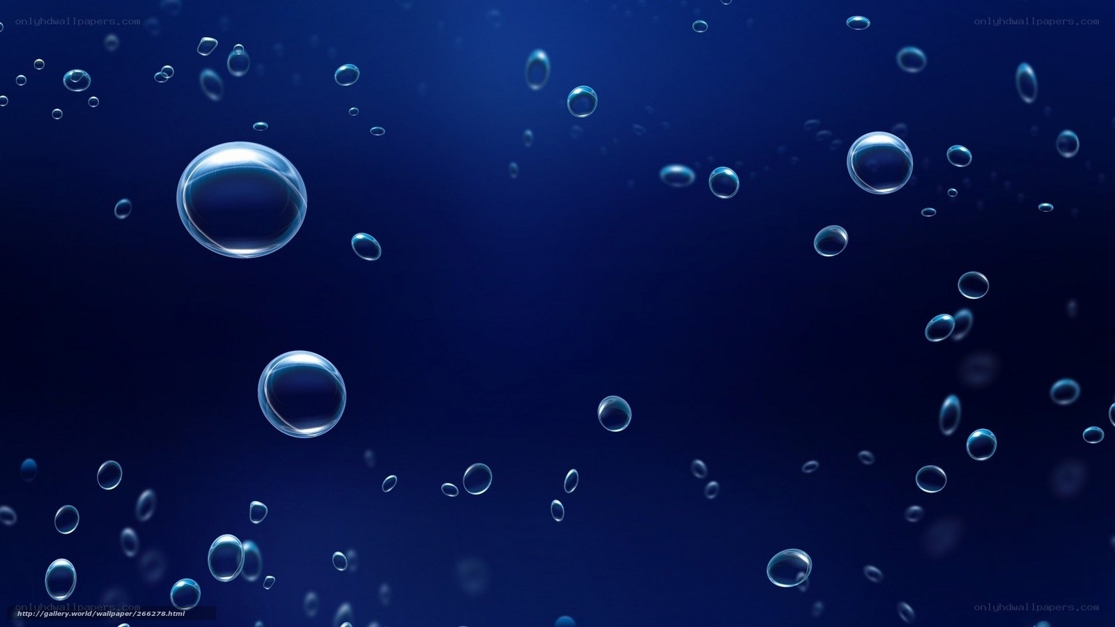 bubbles rising in blue water