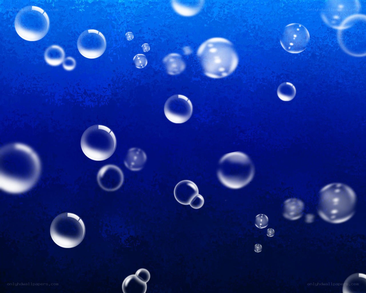 bubbles rising in blue water