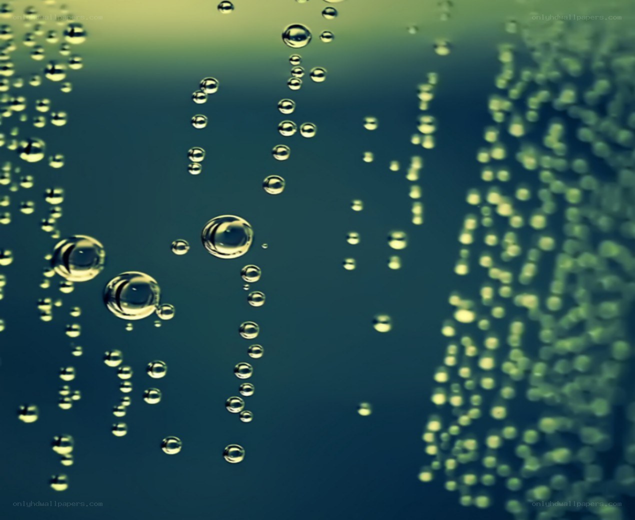 bubbles rising in liquid