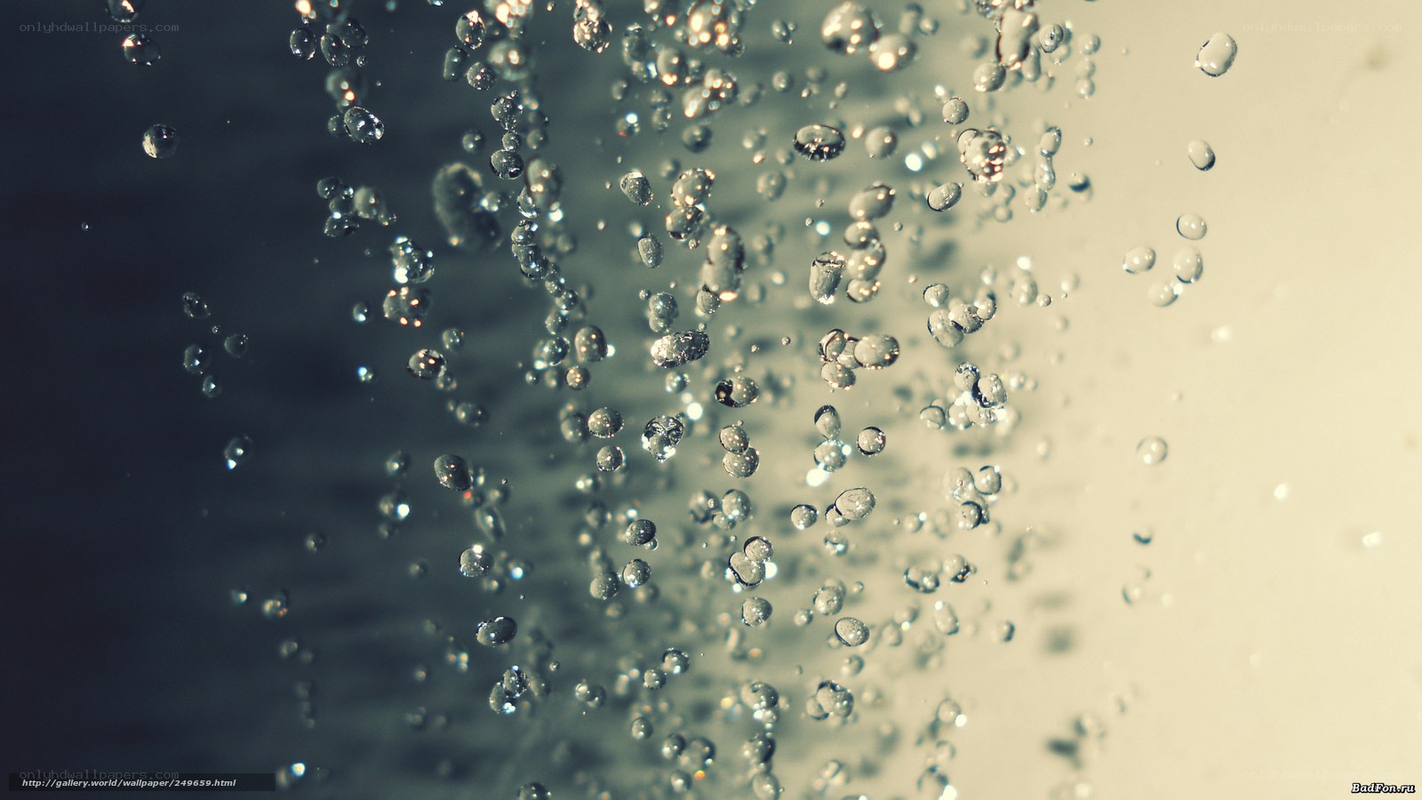 Bubbles rising in water