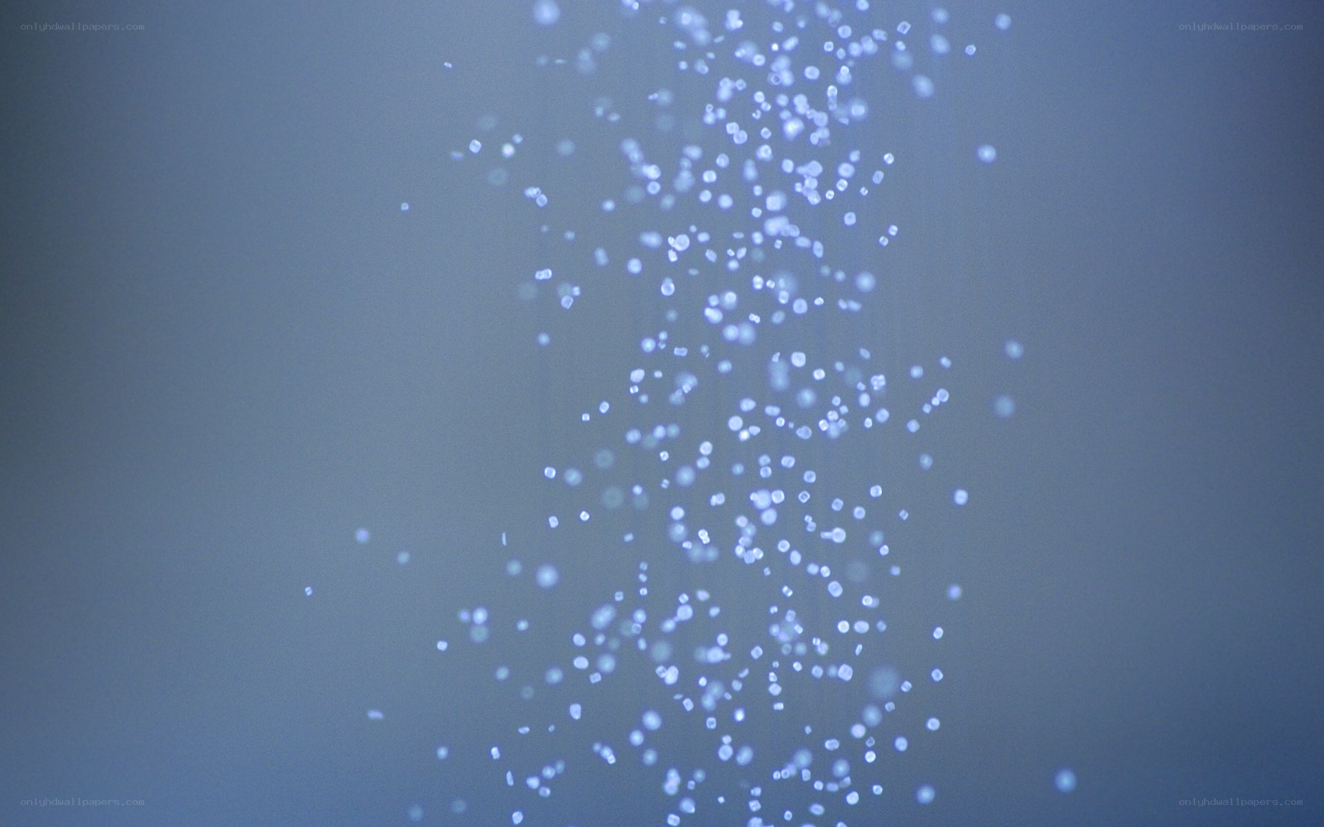bubbles rising in water