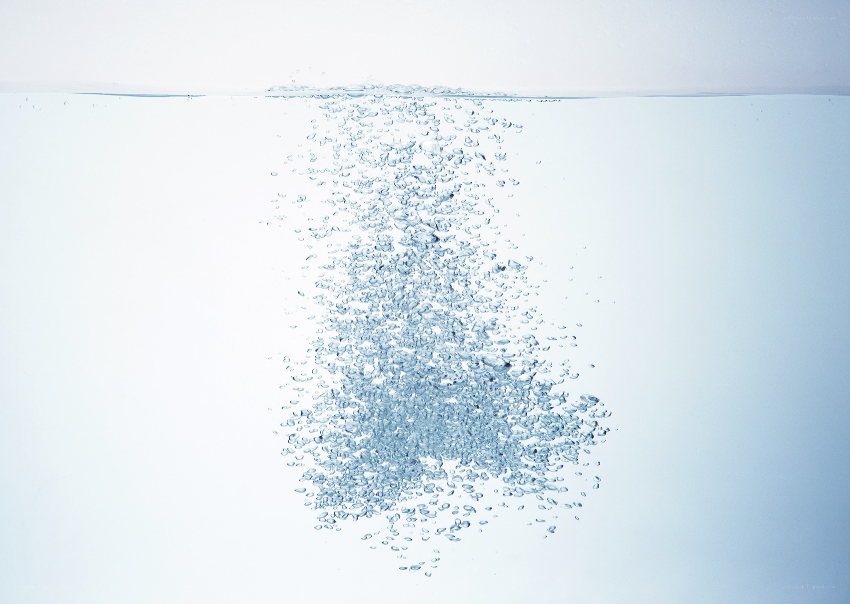 bubbles rising in water