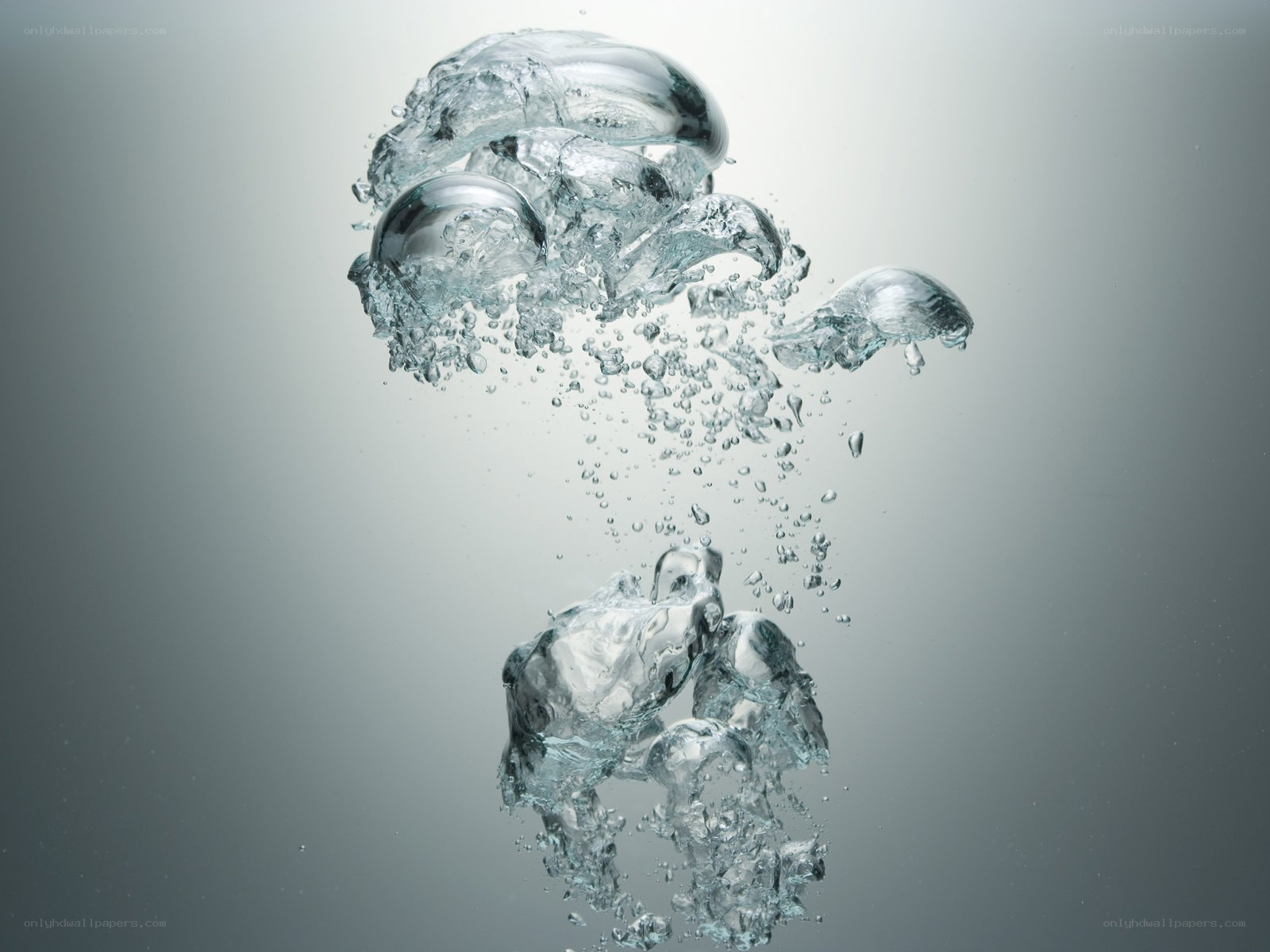 bubbles rising in water