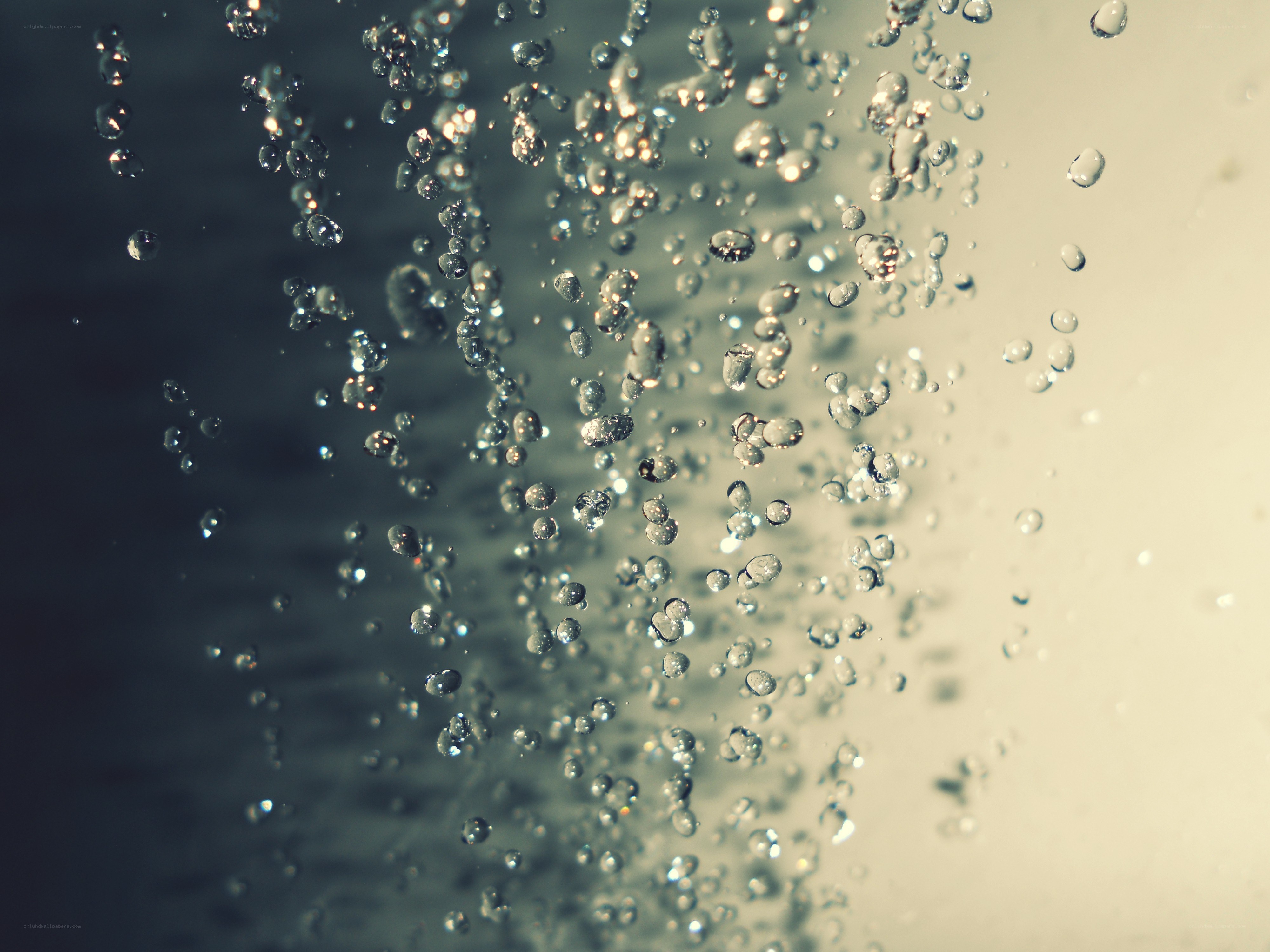 bubbles rising in water