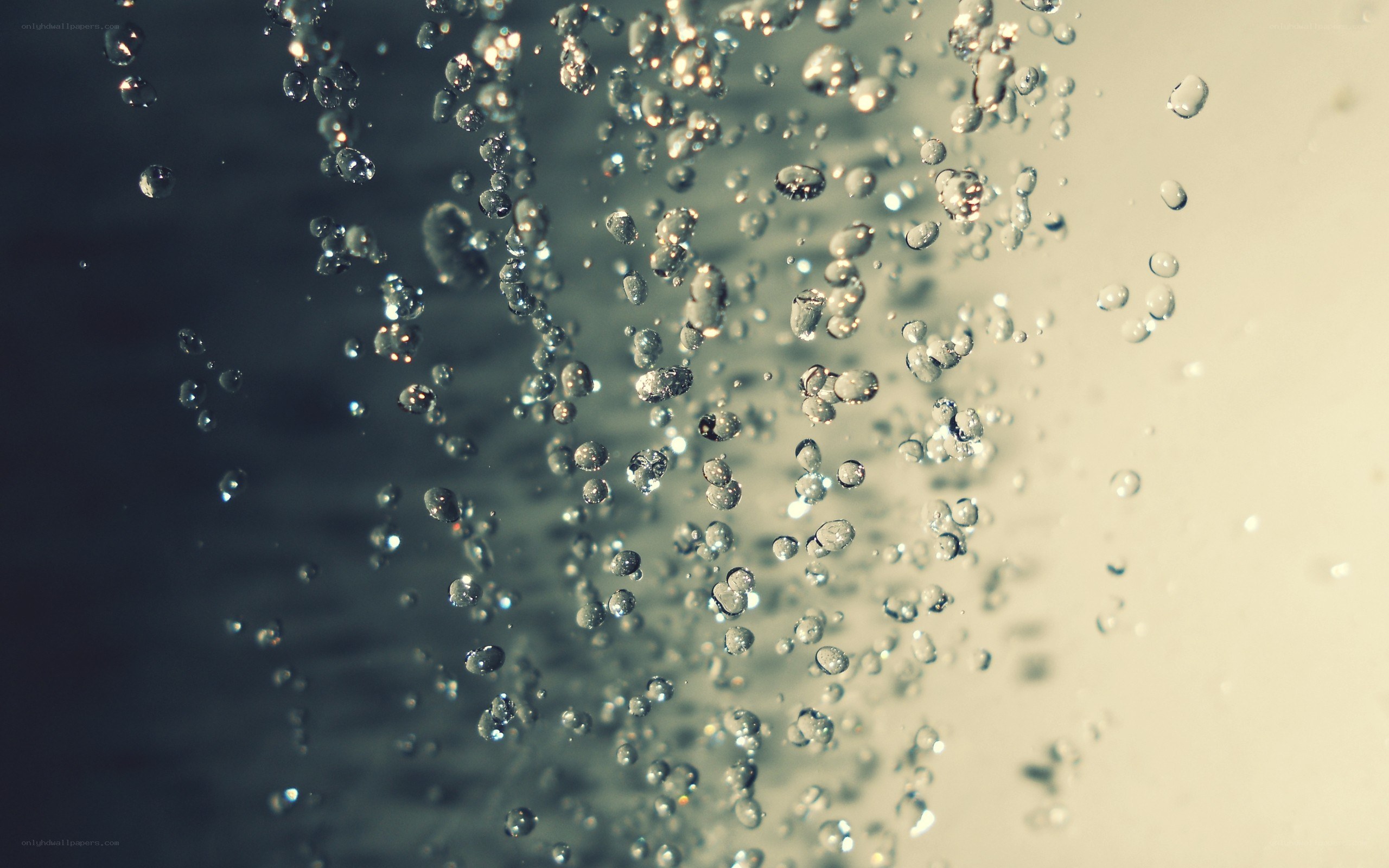 bubbles rising in water