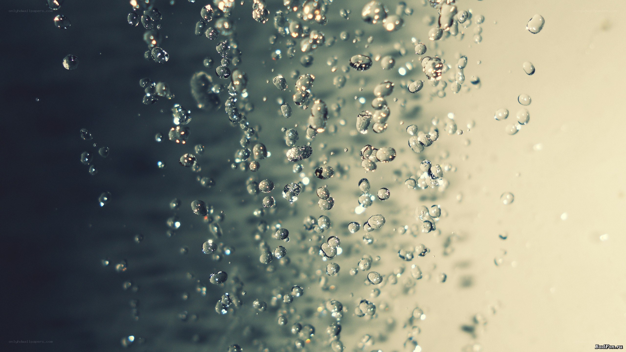 bubbles rising in water