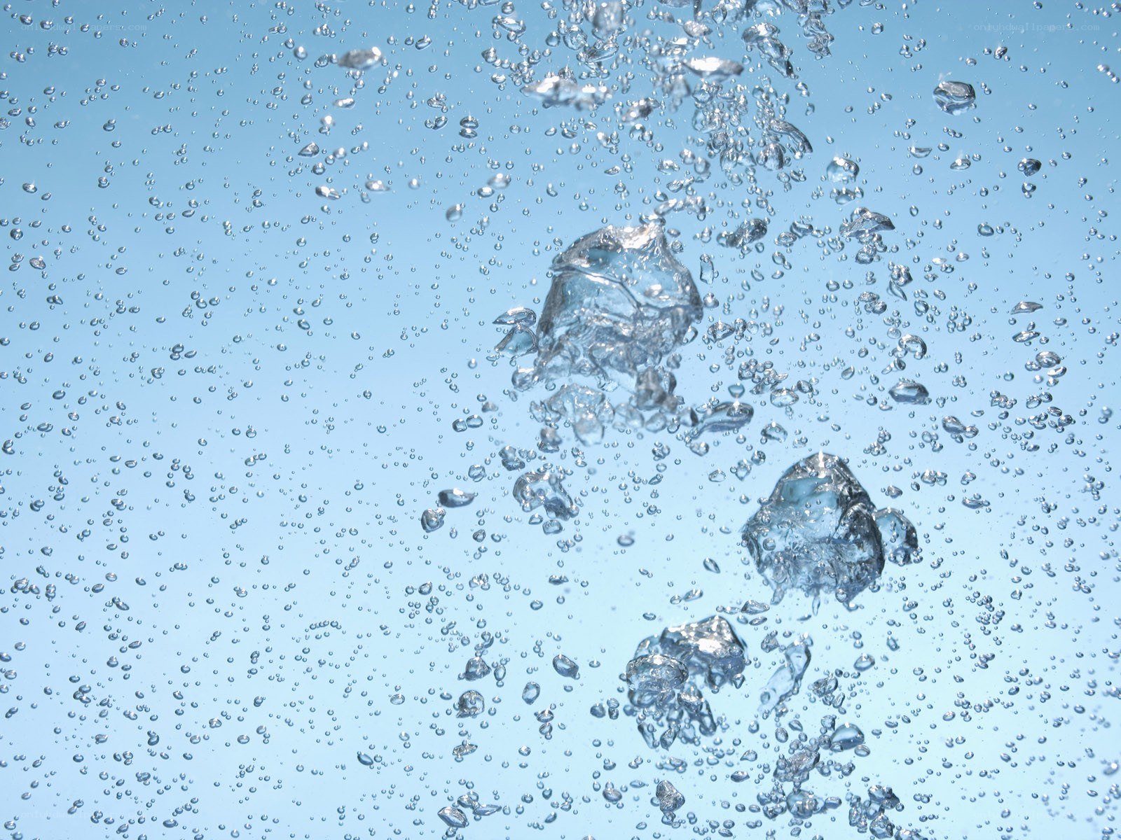 bubbles rising in water