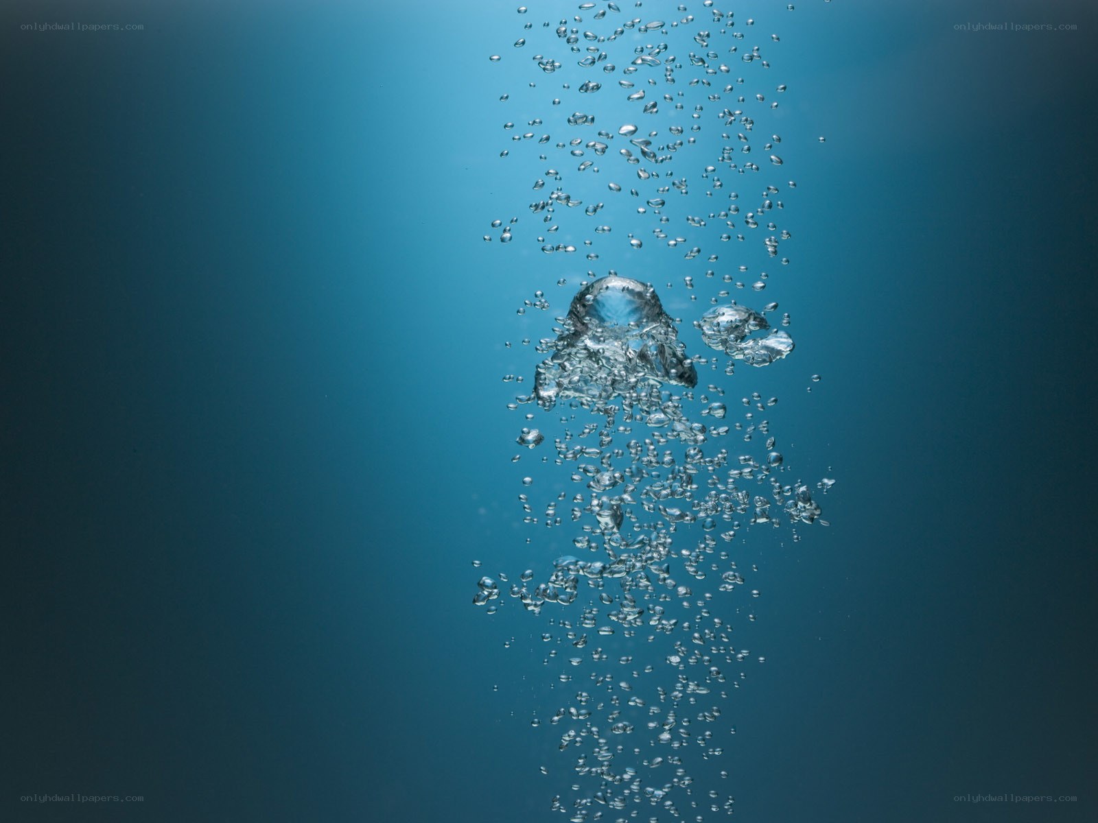 bubbles rising underwater