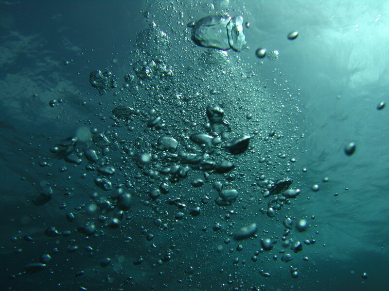 Bubbles Rising Underwater — Blue, Calm, Photograph, Water